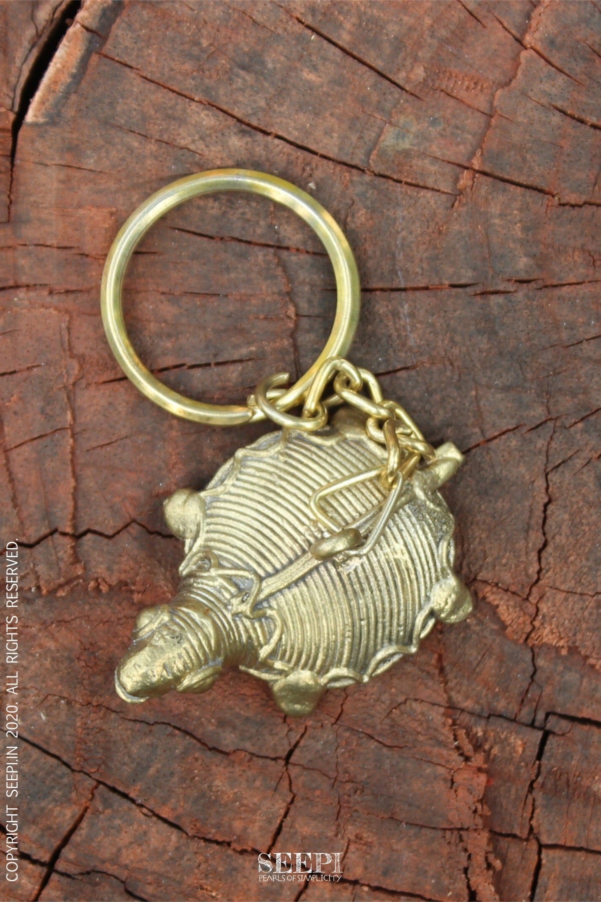 image_05983074-87e9-4523-a535-